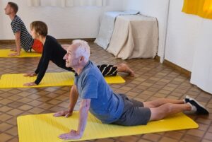 Chien Tête en haut - Cours-Yoga-Marseille 5è-Yvette Clouet