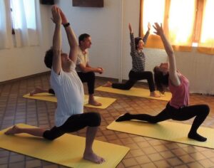 Chien tête en haut - Cours et Stages-Yoga-Yvette Clouet-Marseille-5e