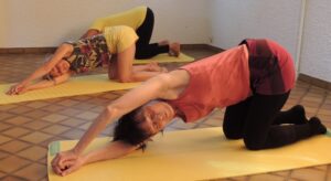 Étirement du Grand dorsal - Cours et Stages-Yoga-Yvette Clouet-13005 Marseille